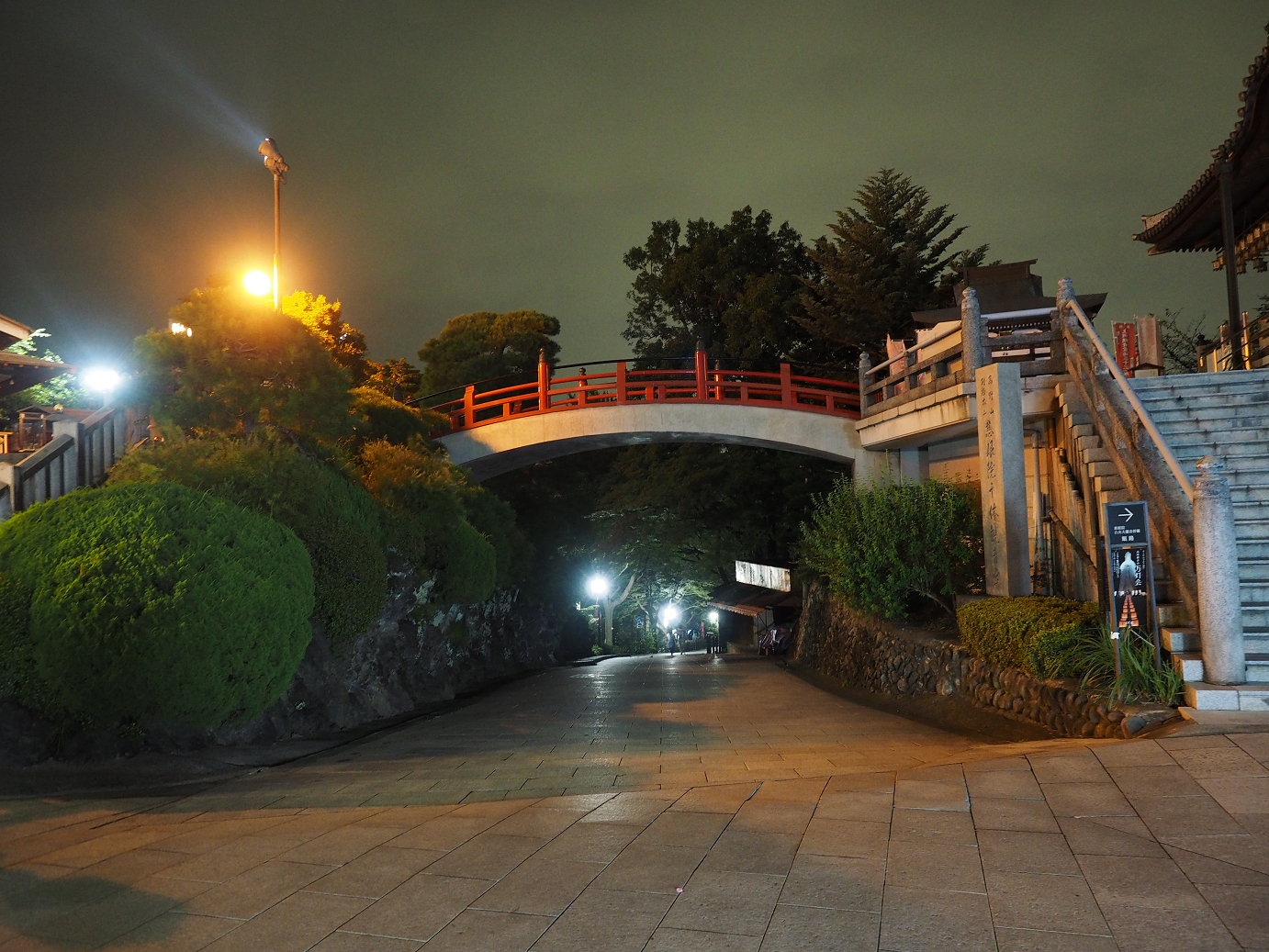 P8300800.jpg
