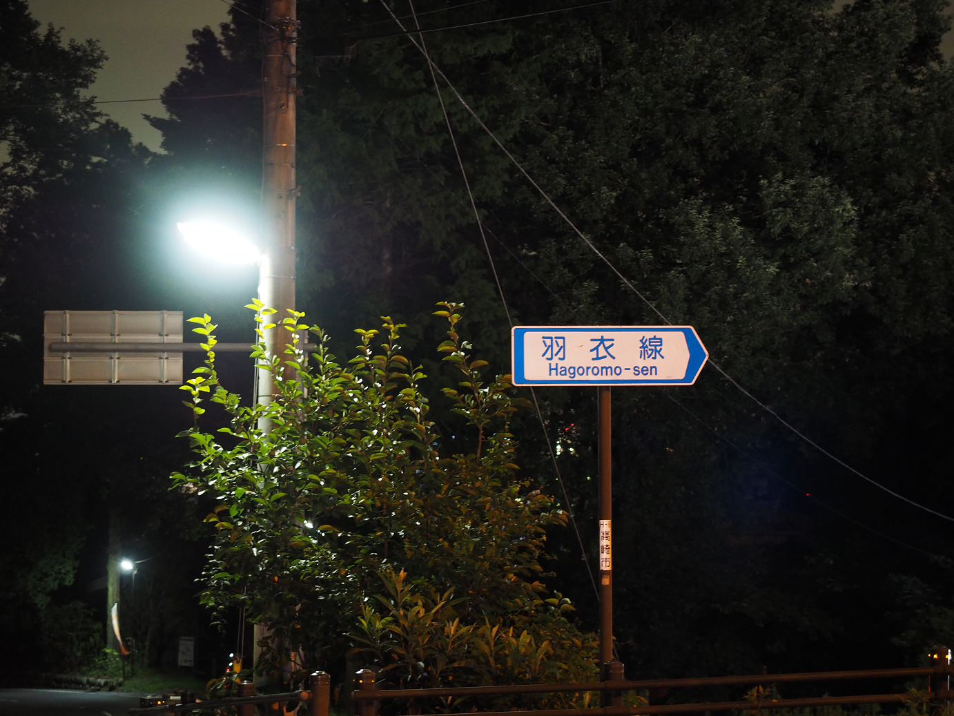 P8300803.jpg