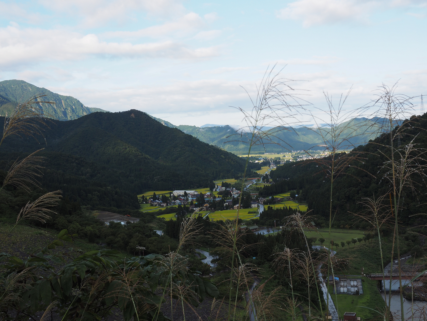 P9130004.jpg