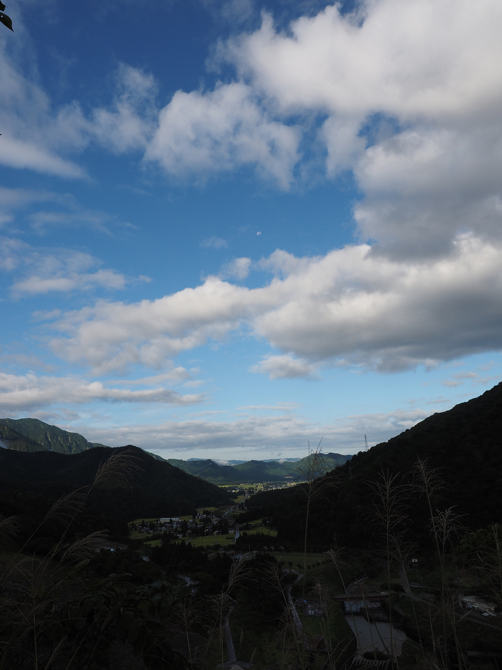 P9130006.jpg