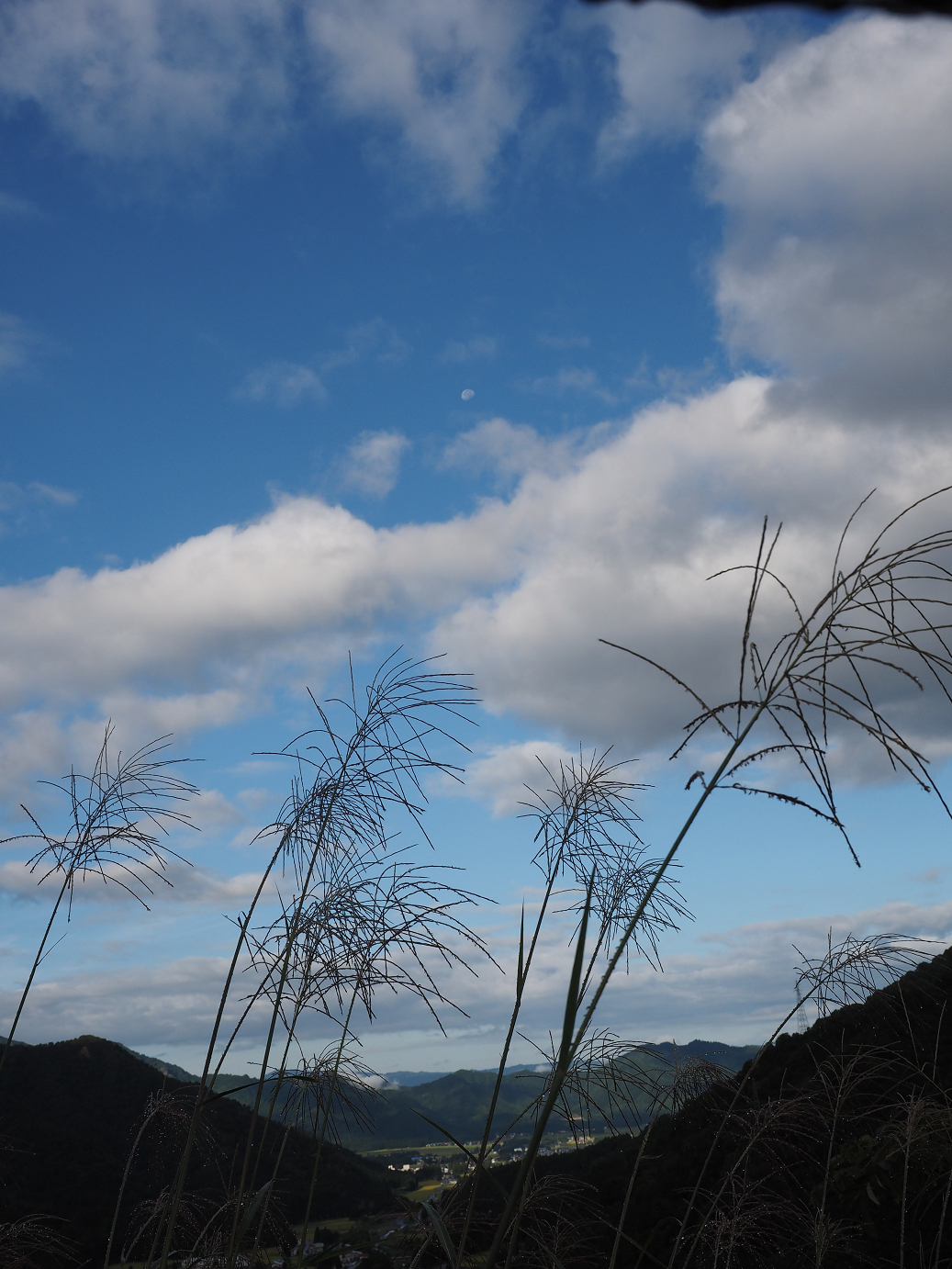 P9130011.jpg