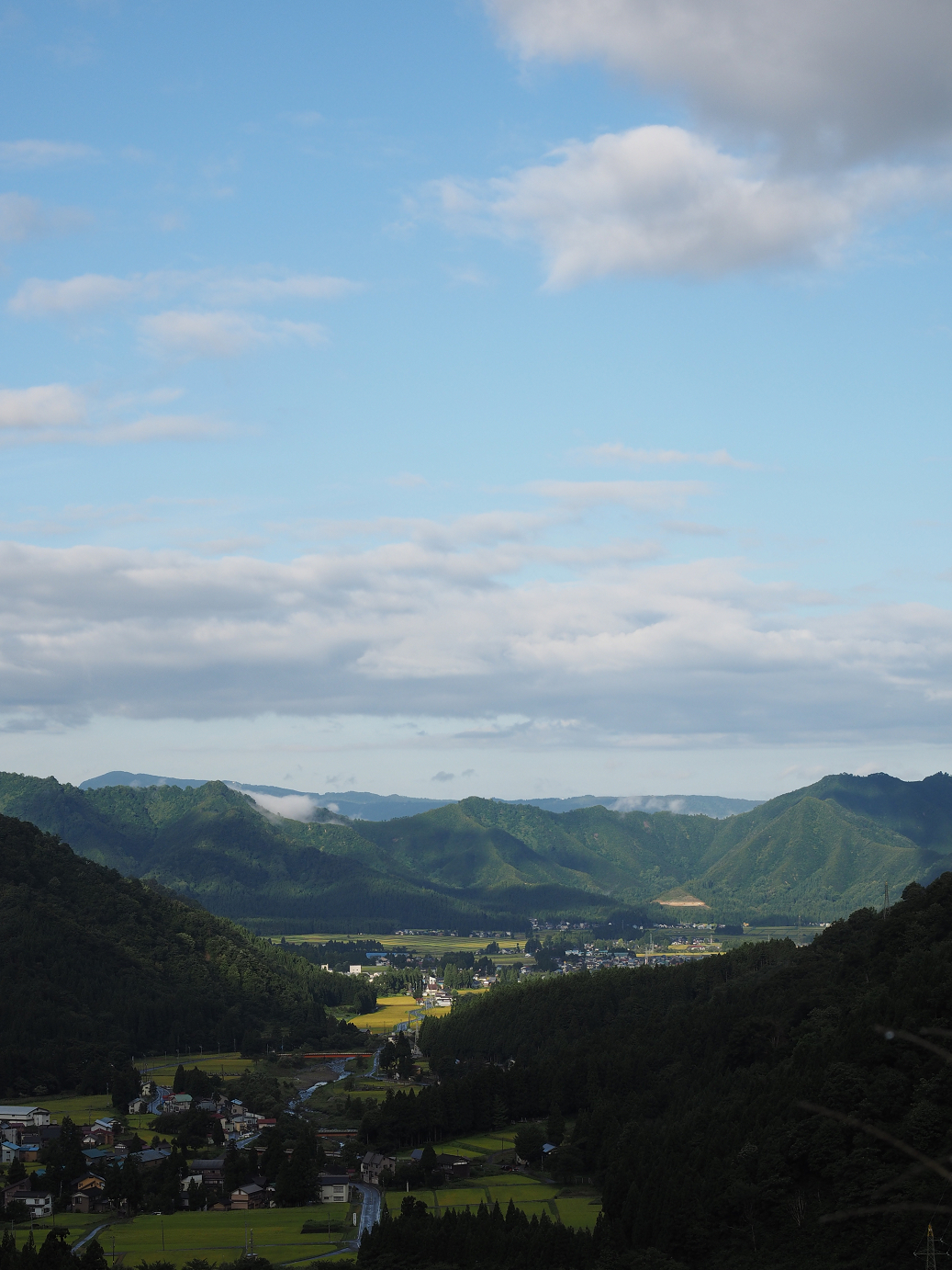 P9130017.jpg