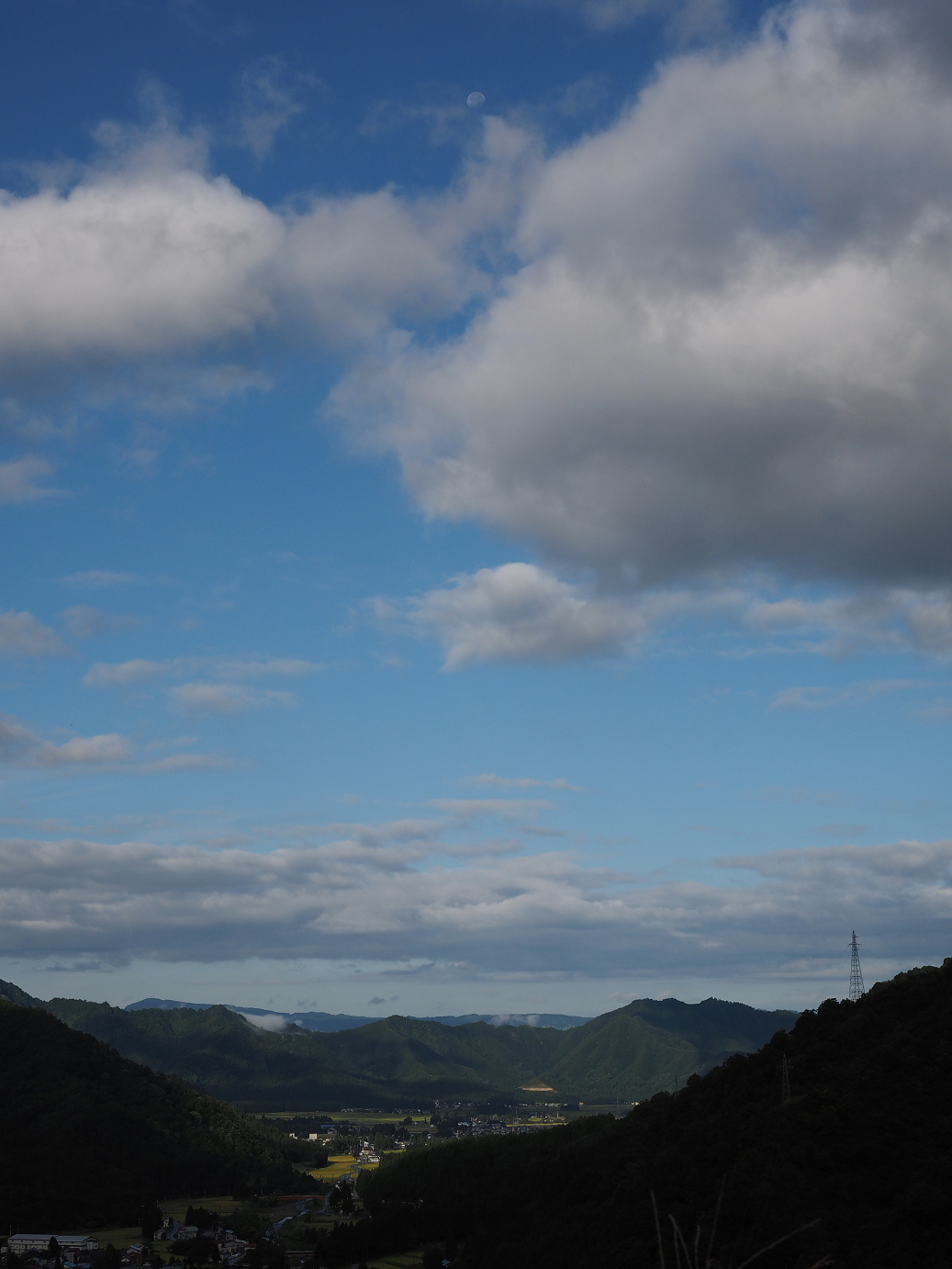 P9130018.jpg