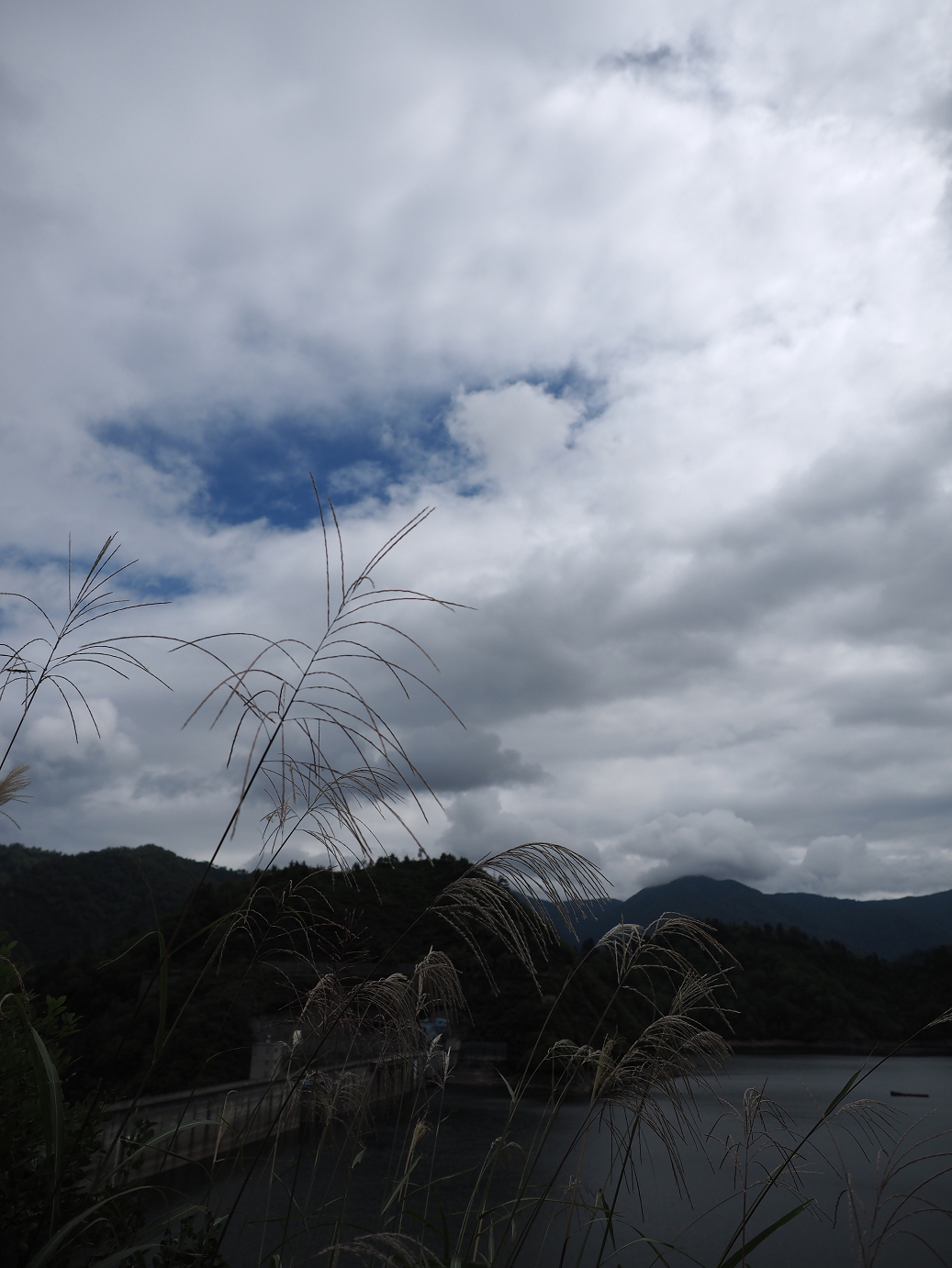 P9130156.jpg