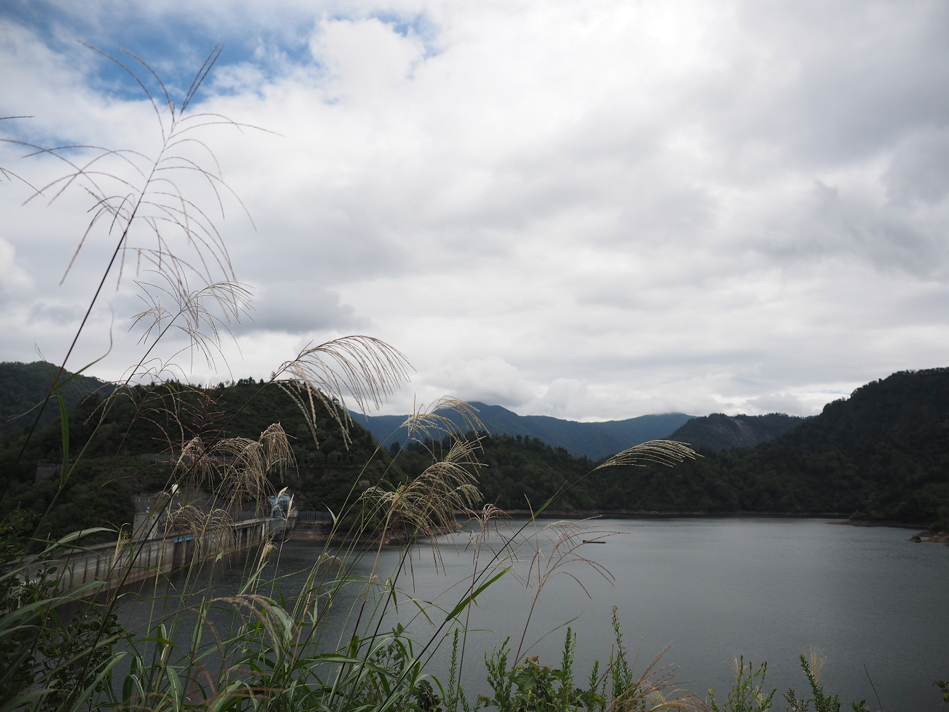 P9130158.jpg