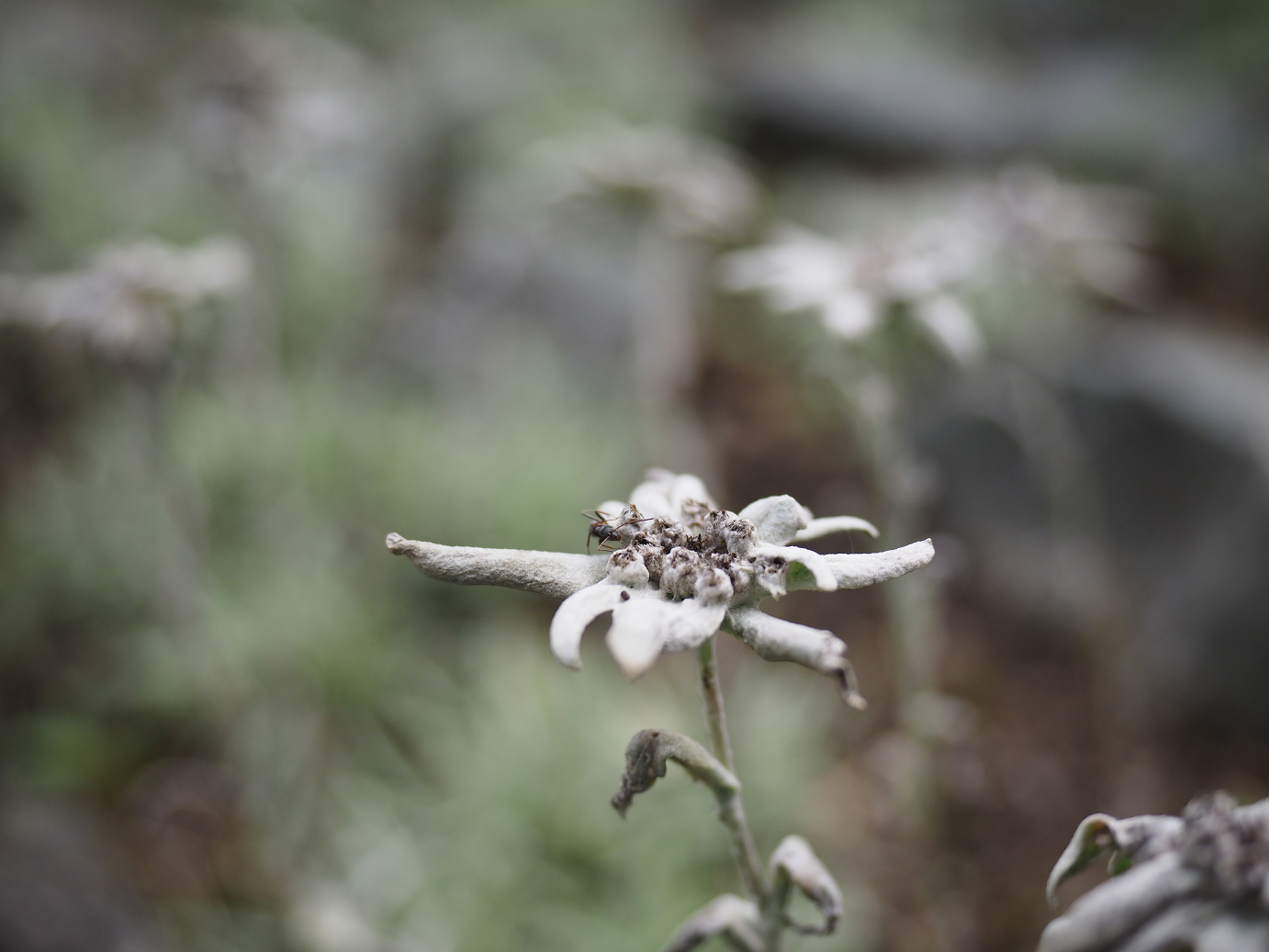 P9130166.jpg