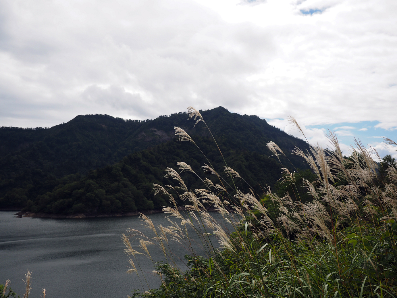 P9130184.jpg
