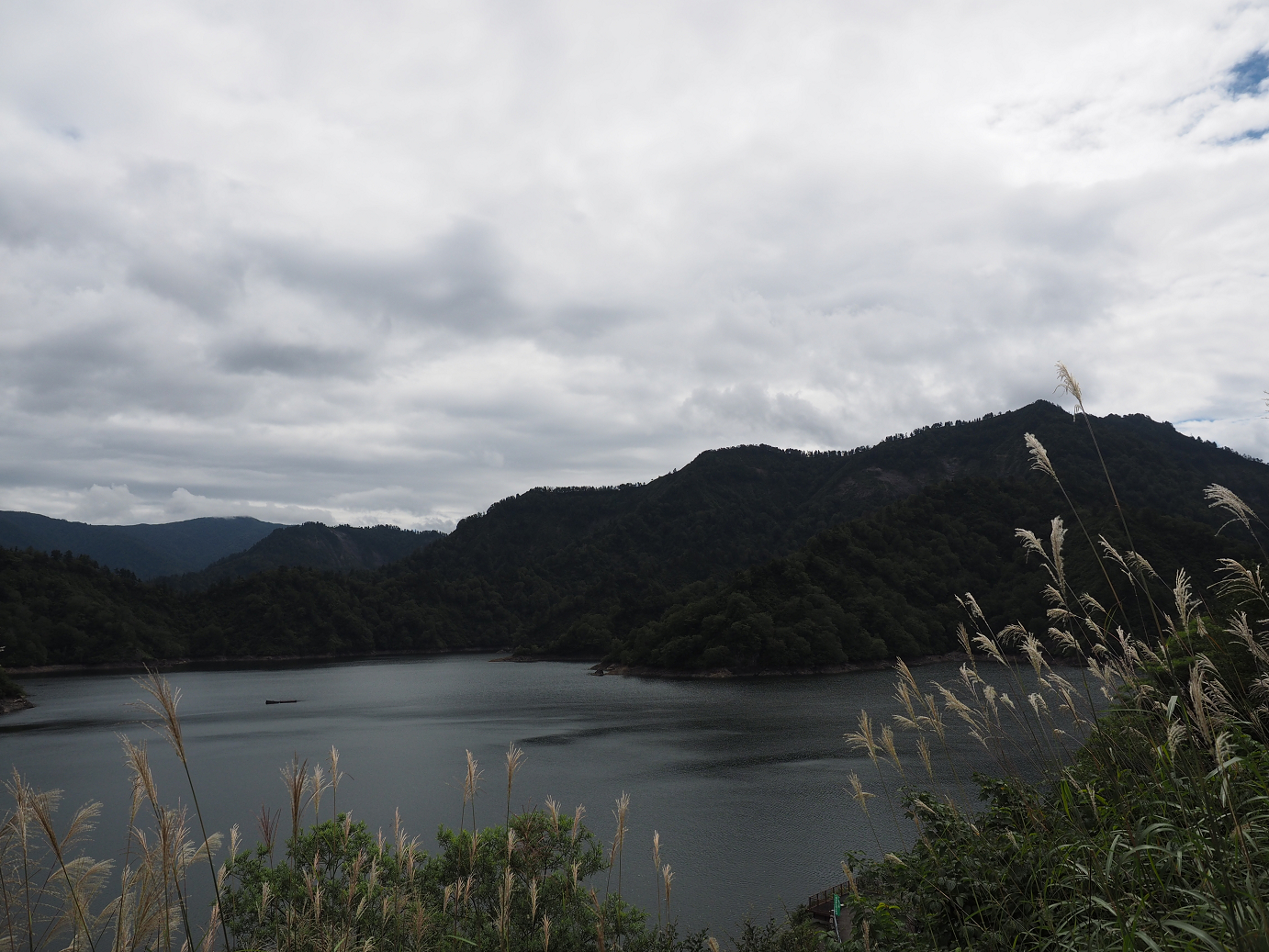 P9130191.jpg