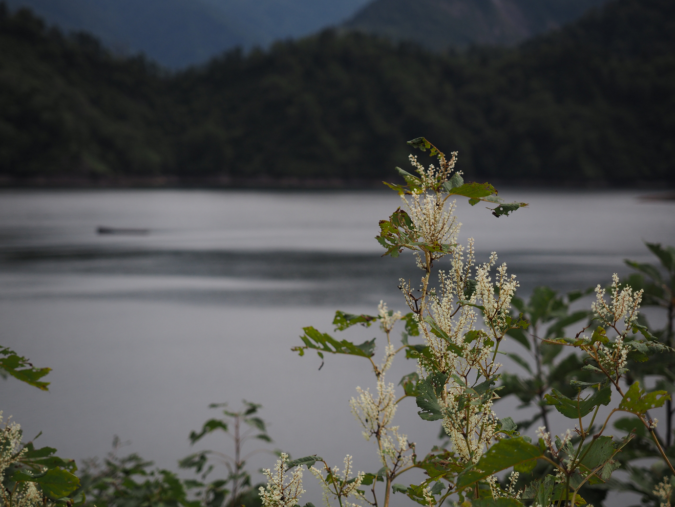 P9130220.jpg