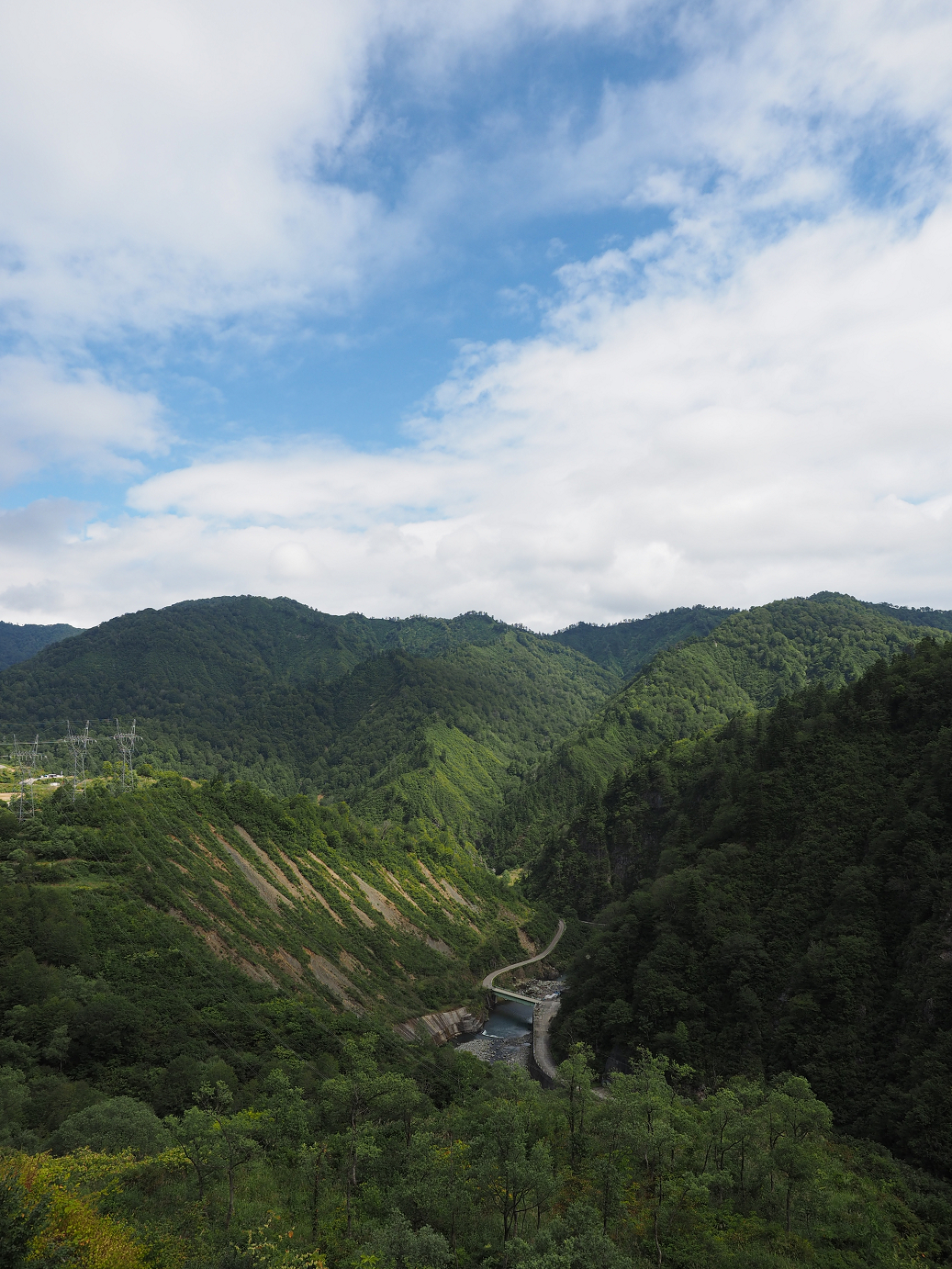 P9130241.jpg