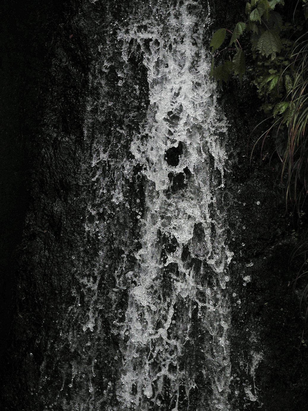 P9130273.jpg