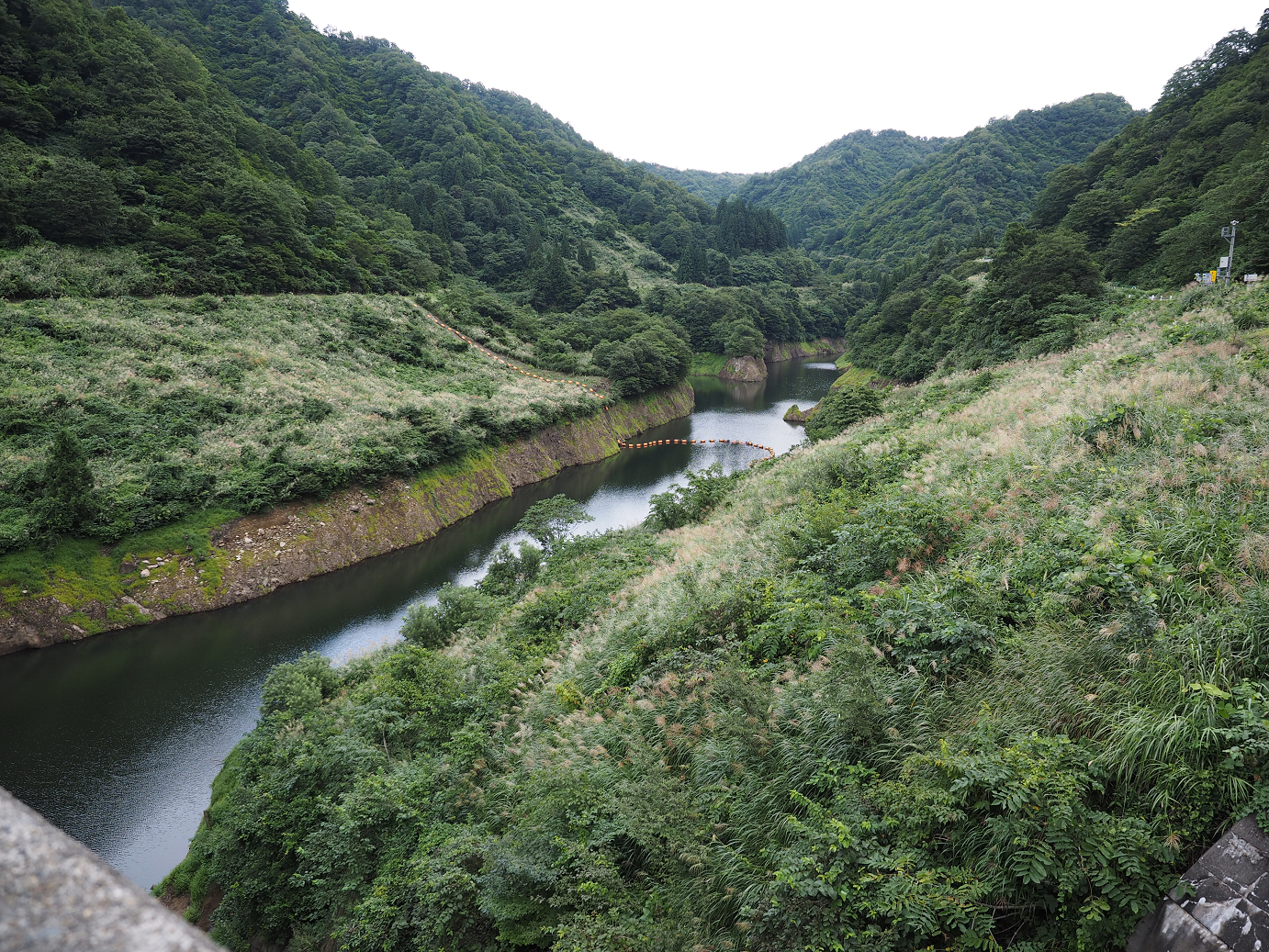 P9130321.jpg