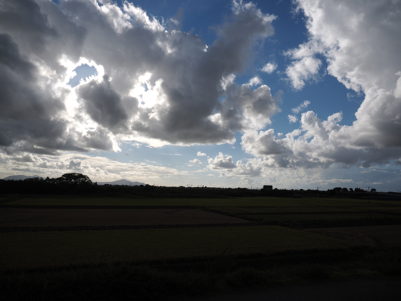 P9130422.jpg