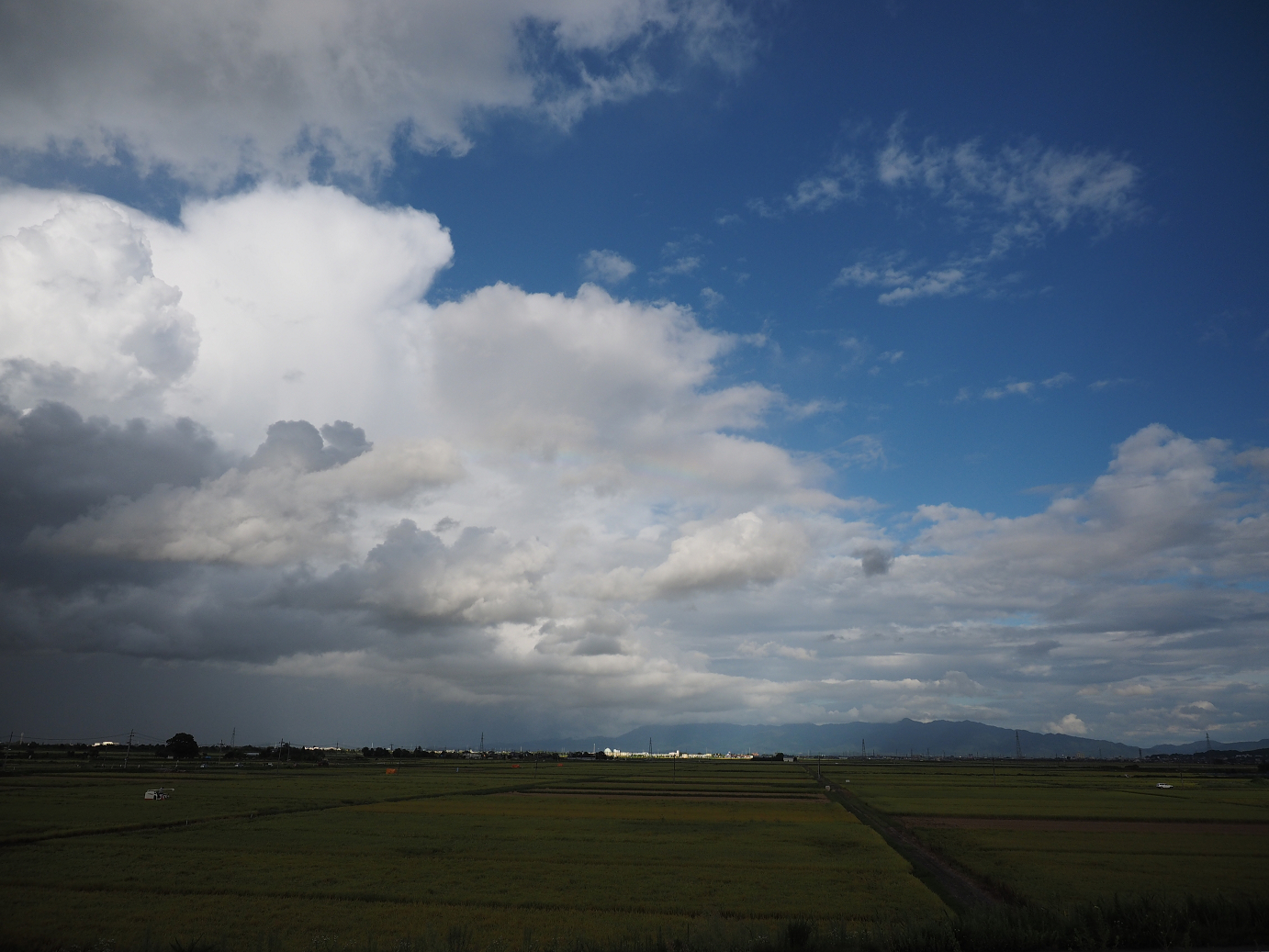 P9130432.jpg