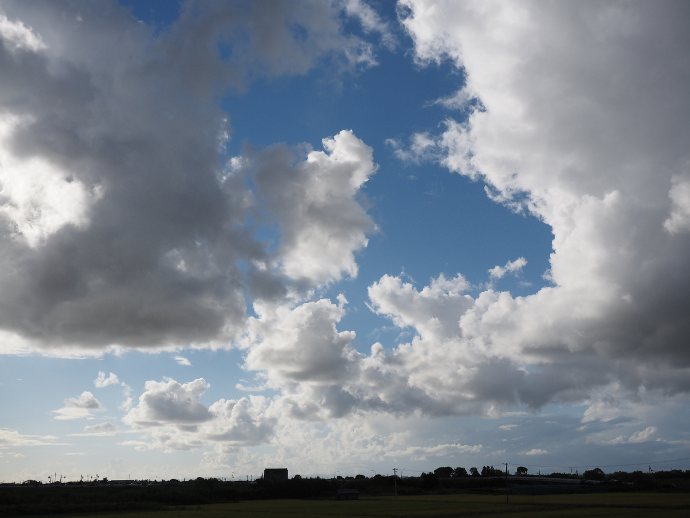 P9130439.jpg