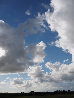 P9130440_thumb.png