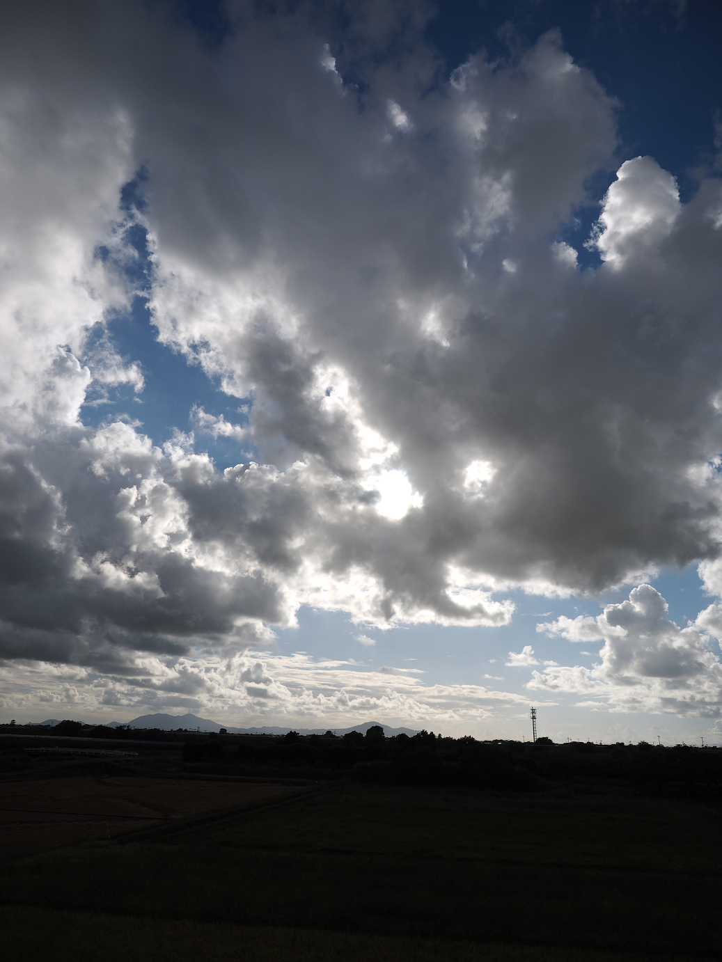 P9130457.jpg
