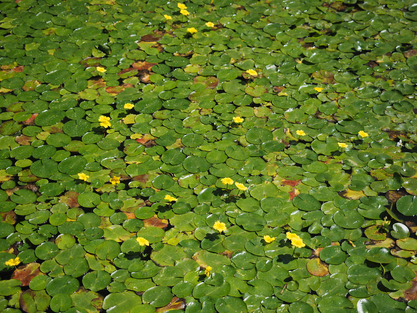P9141276.jpg