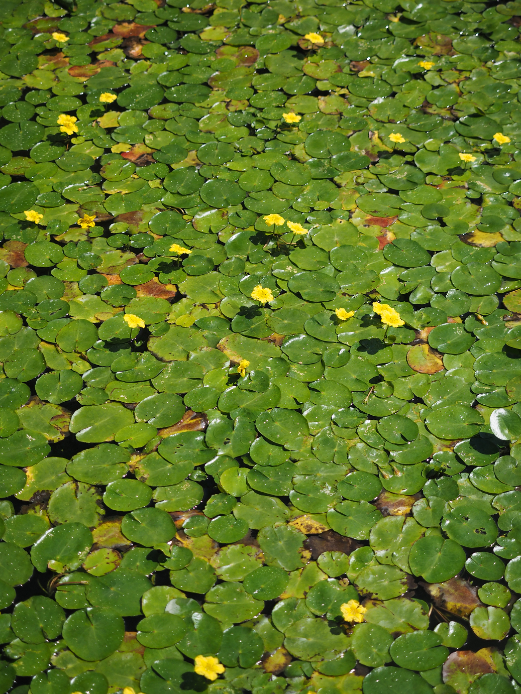 P9141279.jpg