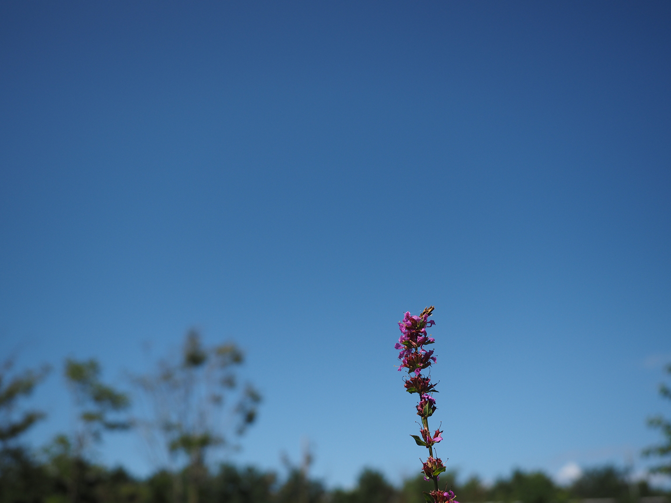 P9141286.jpg