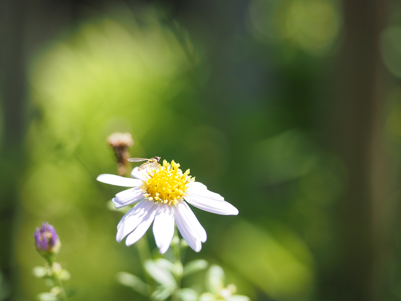 P9141294.jpg