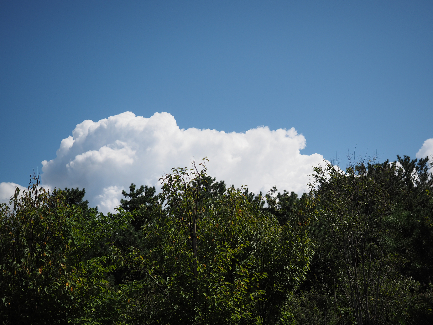 P9141311.jpg