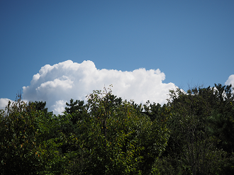 P9141311_thumb.png