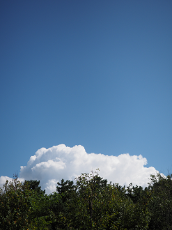 P9141312_thumb.png