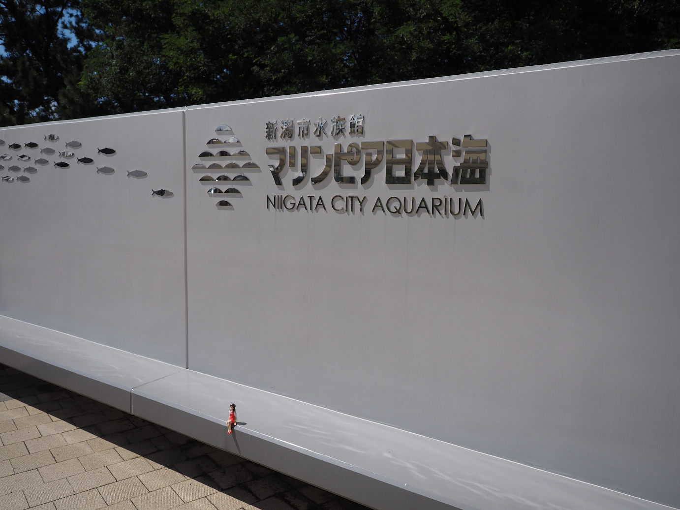 P9141317.jpg