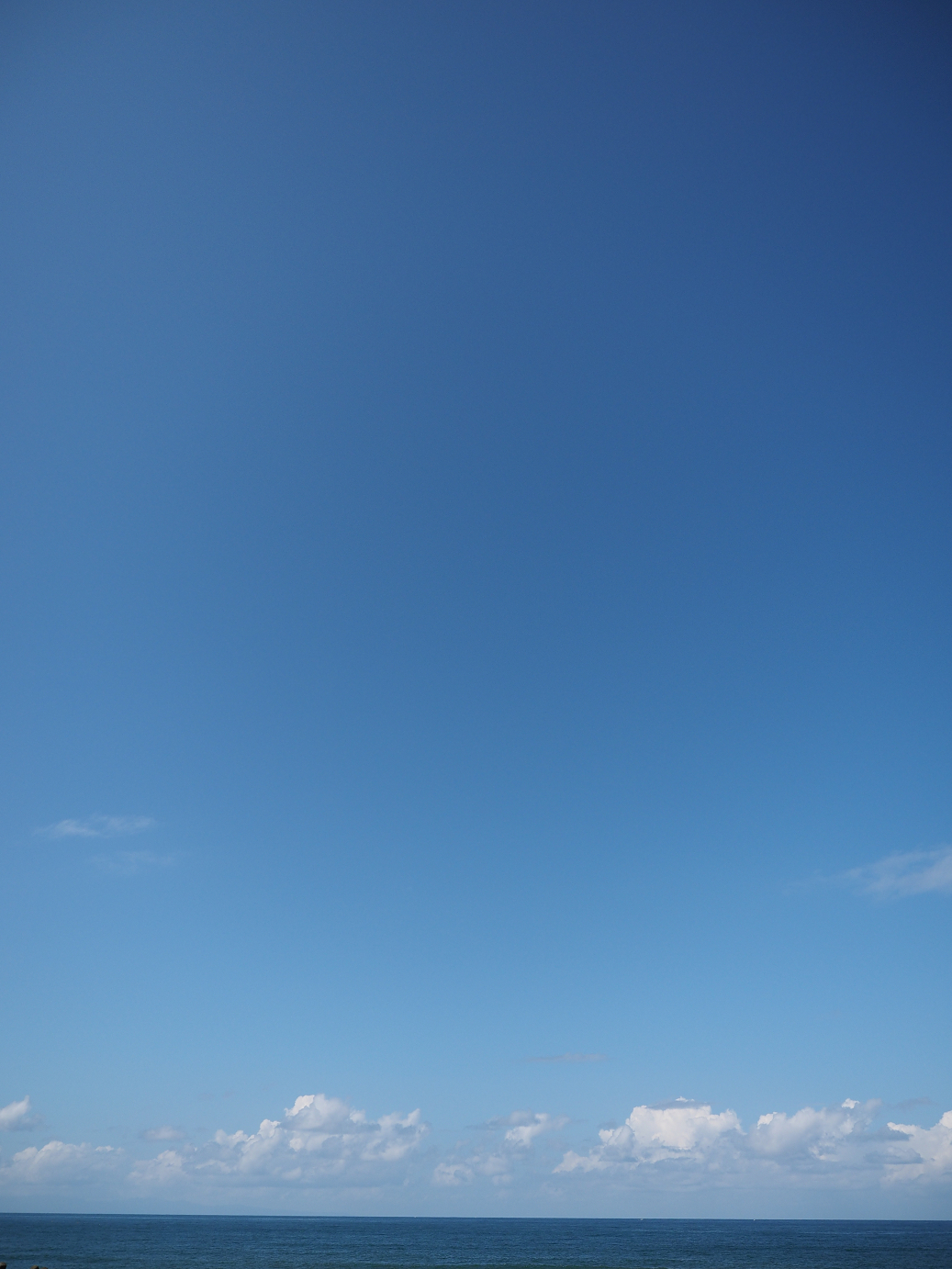 P9141332.jpg