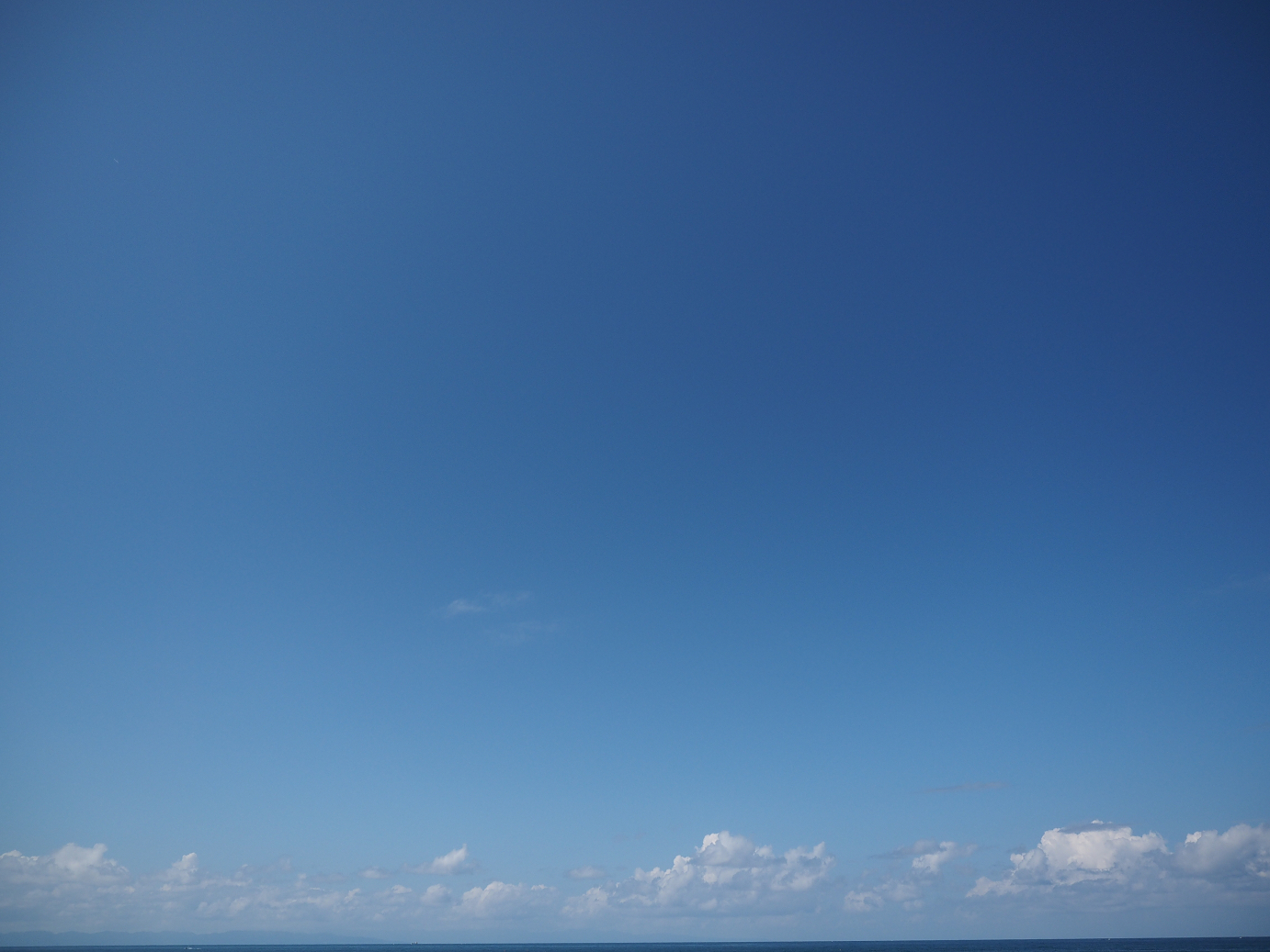 P9141335.jpg
