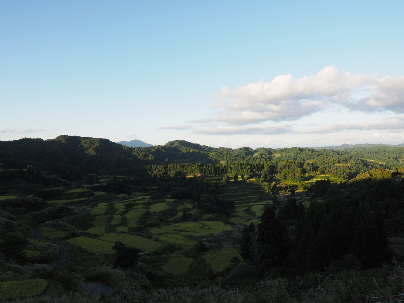 P9141383.jpg