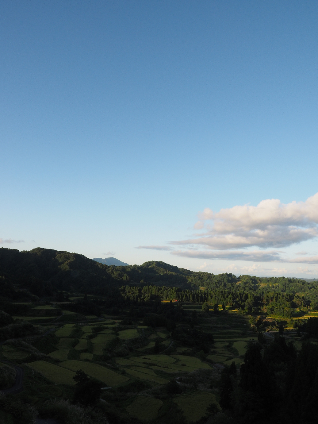 P9141384.jpg