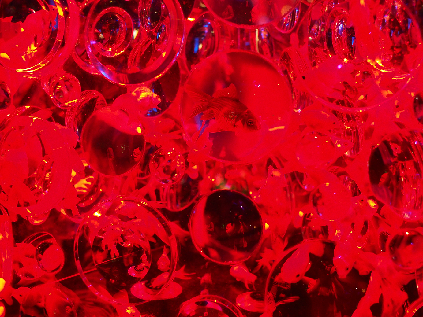 P9190255.jpg