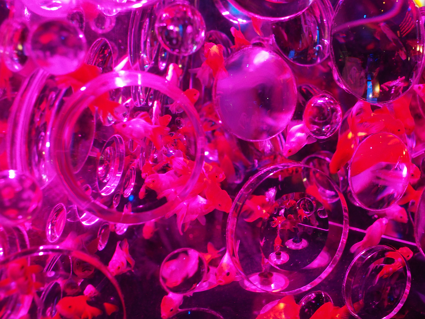 P9190263.jpg