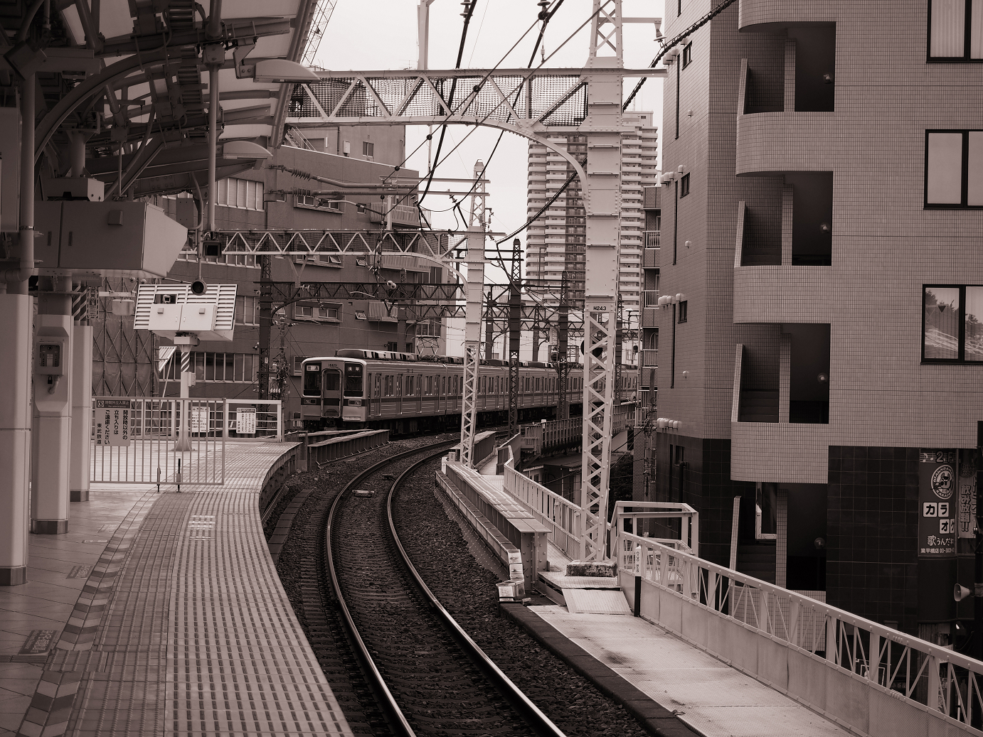 P9190460.jpg