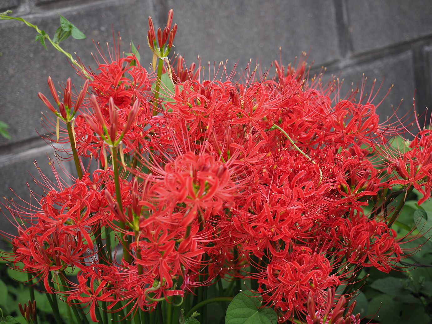 P9190491.jpg