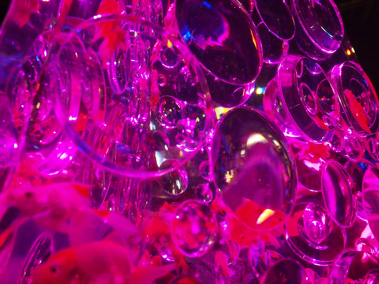P9192811.jpg