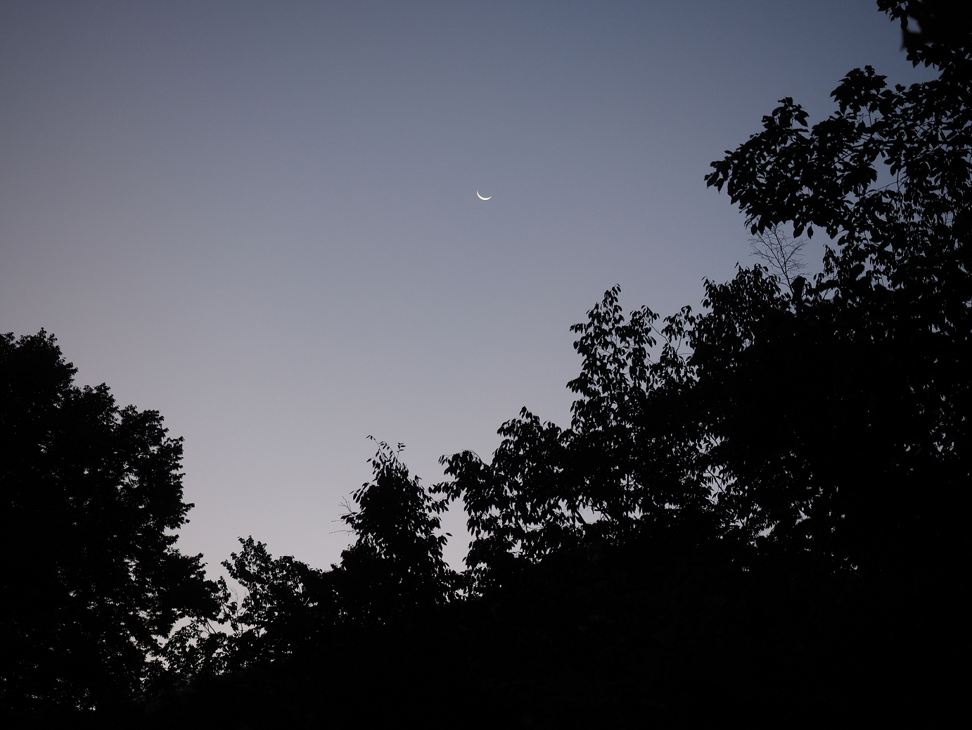 P9210027.jpg