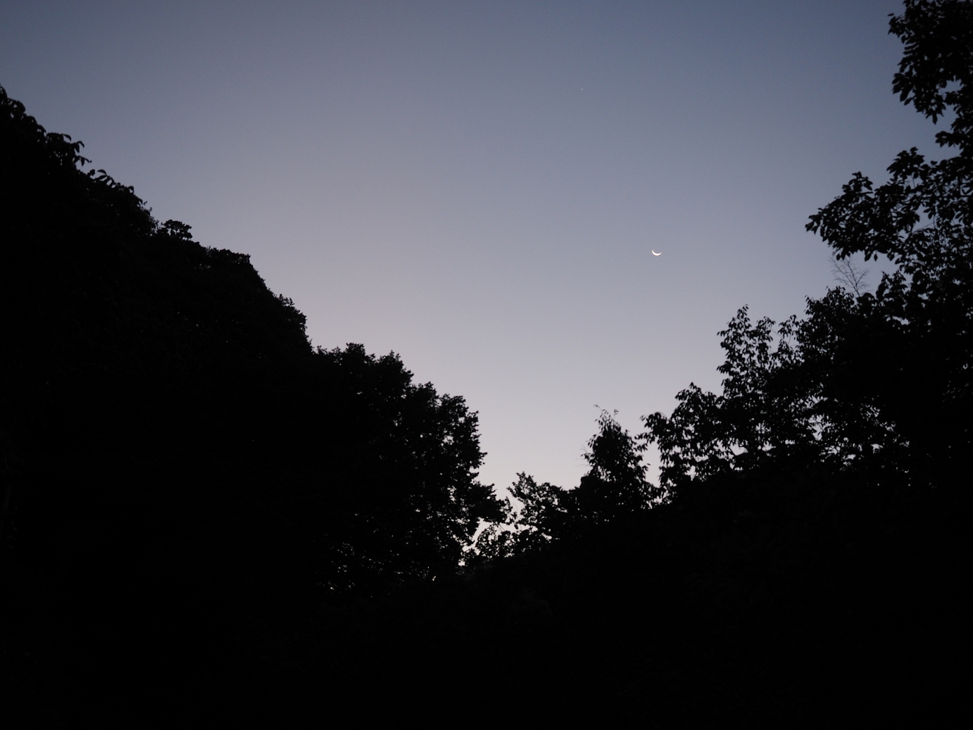 P9210029.jpg