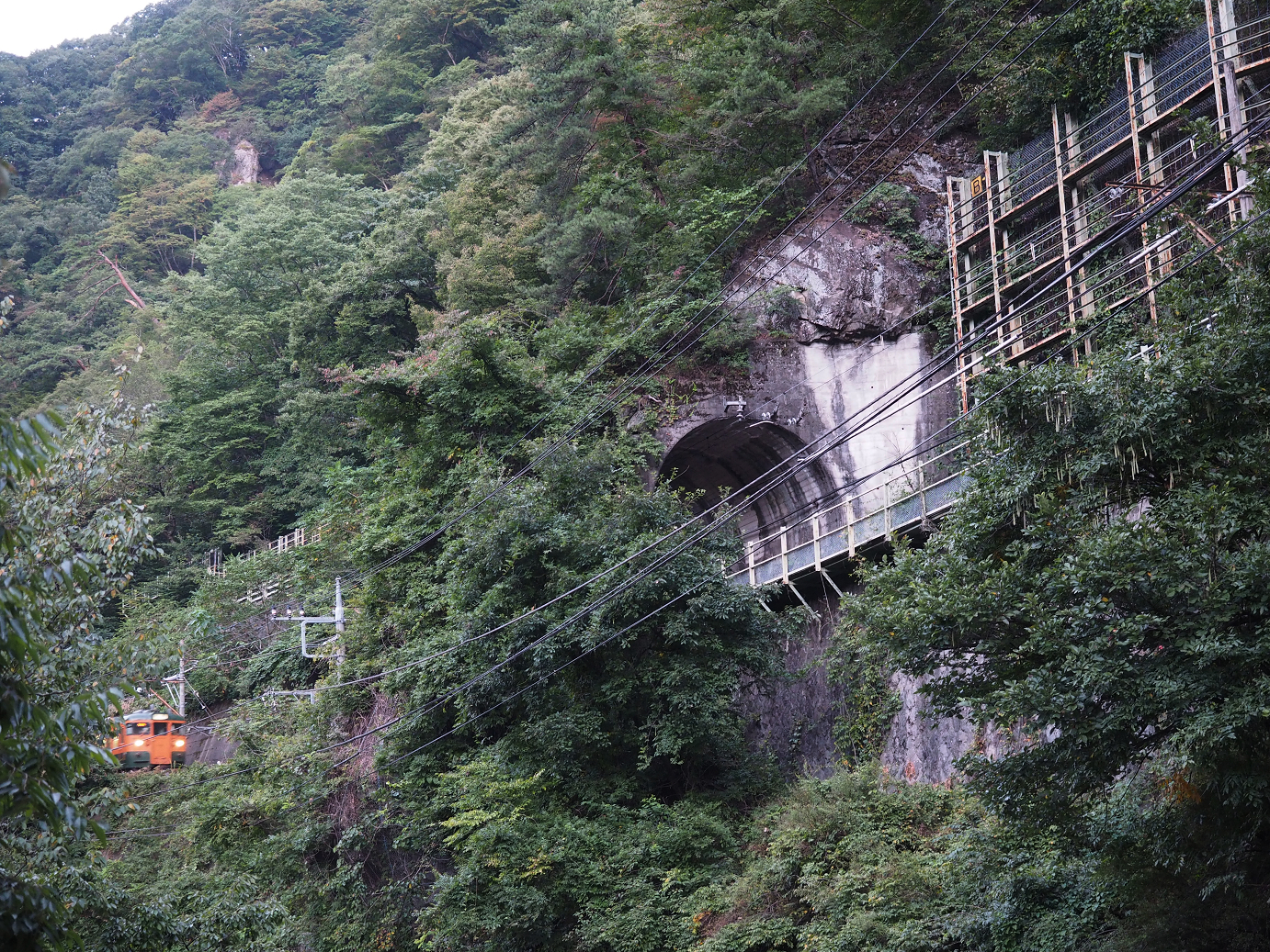 P9210035.jpg