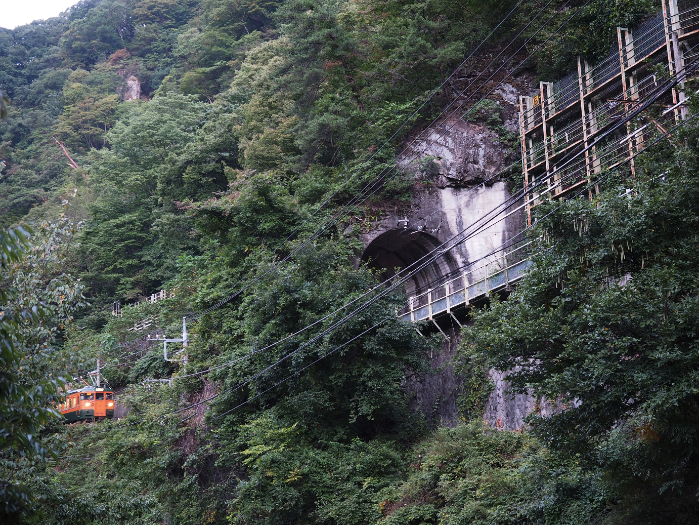 P9210036.jpg