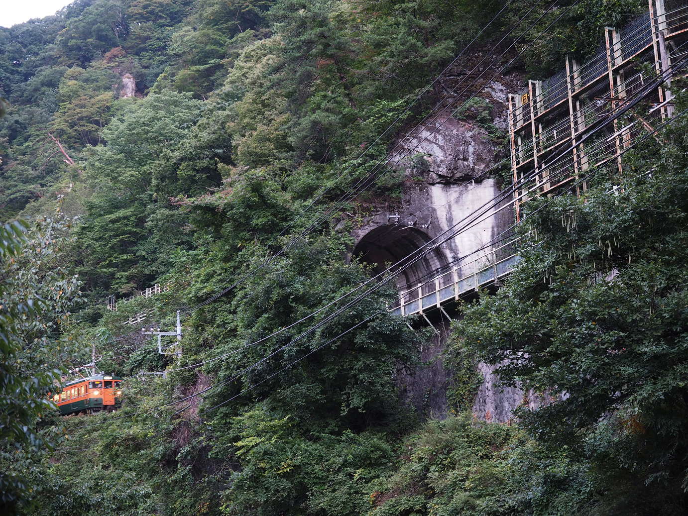 P9210037.jpg
