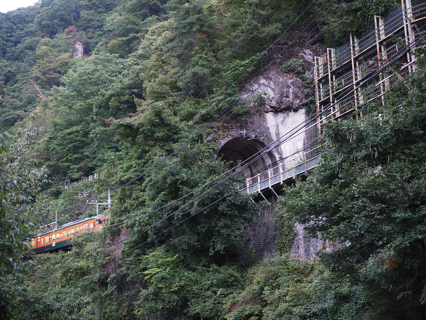 P9210039.jpg