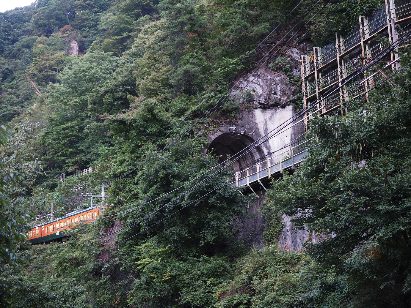 P9210040.jpg