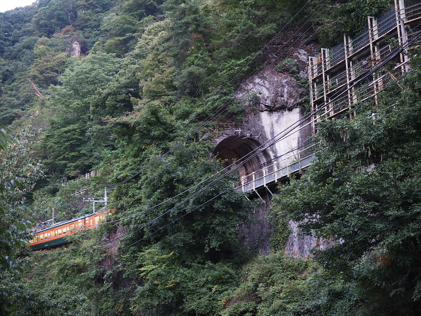 P9210041.jpg