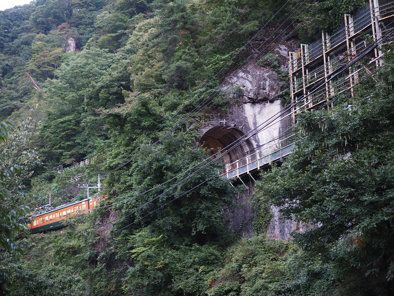 P9210042.jpg