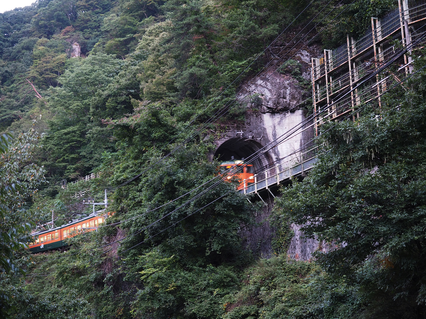 P9210043.jpg