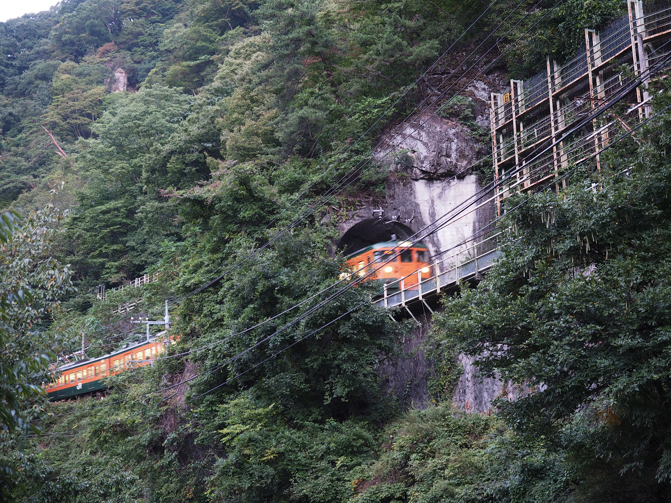 P9210044.jpg