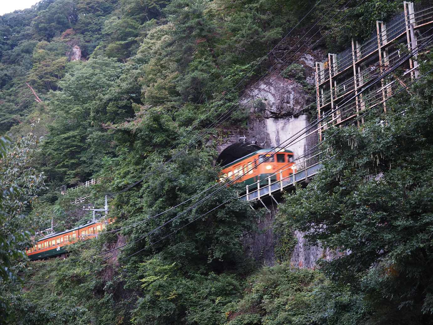 P9210045.jpg